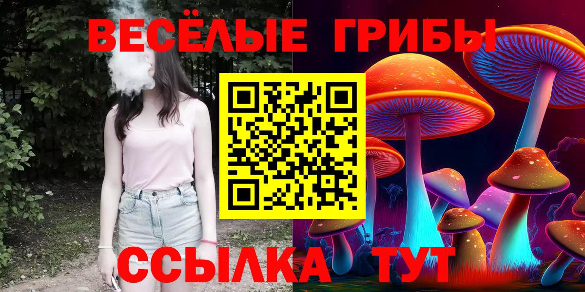 Советская Гавань  Галлюциногенные грибы мицелий  Вход с VPN 